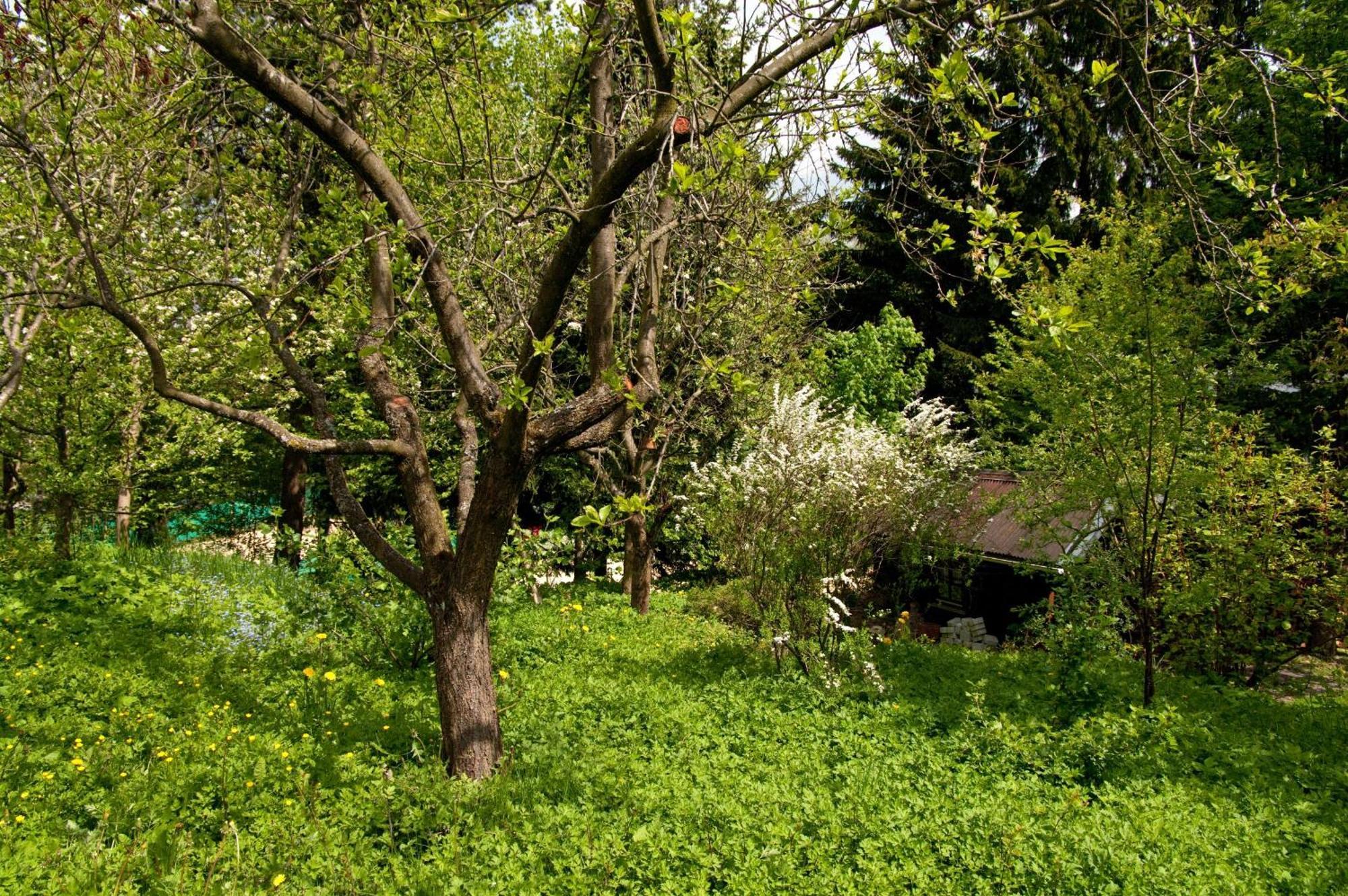 Ferienwohnungen Lindenhof 维林根 外观 照片